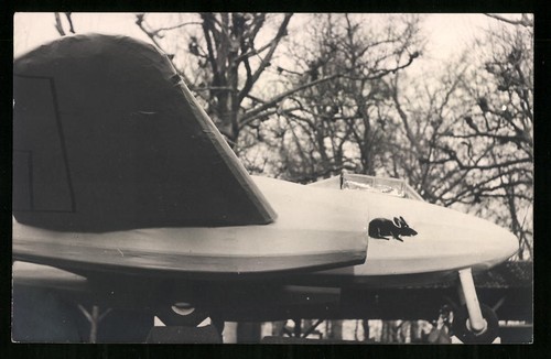 Fotografien - 7,